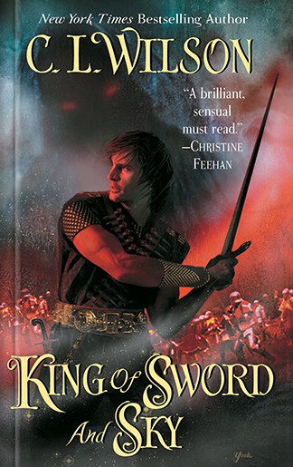 King of Sword and Sky Book